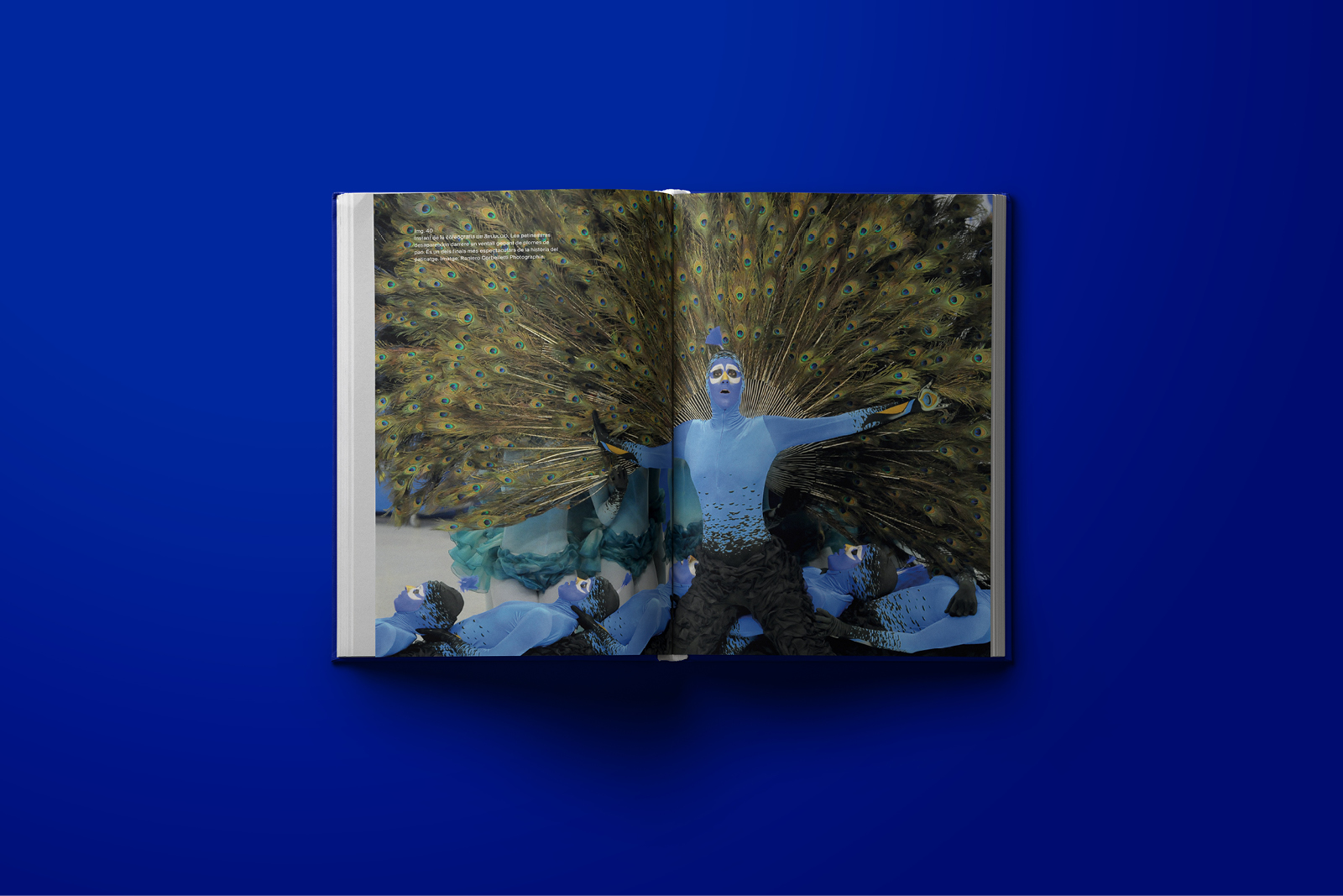 Gràcies CPA Olot 1